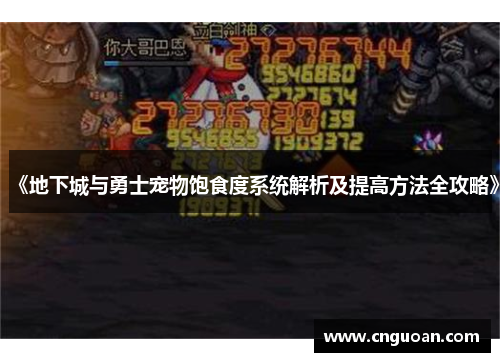 《地下城与勇士宠物饱食度系统解析及提高方法全攻略》